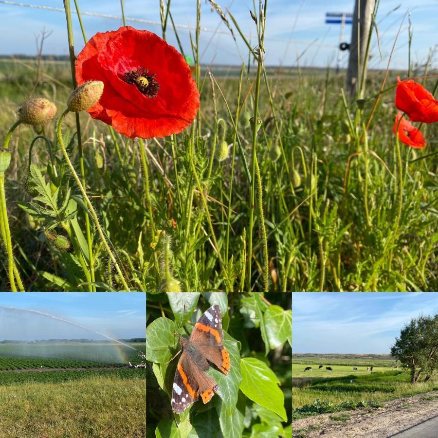 Vakantiebungalow Mee Naar Ouddorp Aan Zee Esterno foto
