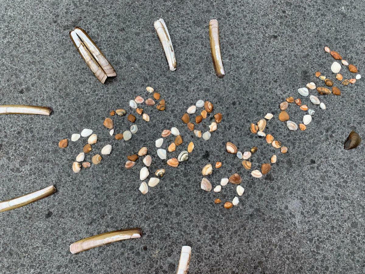 Vakantiebungalow Mee Naar Ouddorp Aan Zee Esterno foto